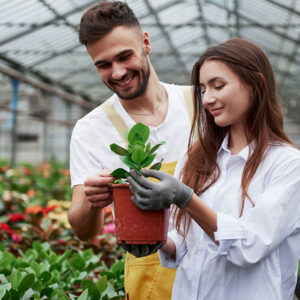 Green Jobs & Green Talent